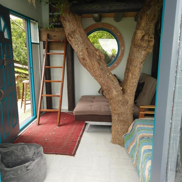 Starry Nights Cabin Fever Waikino Cameră foto